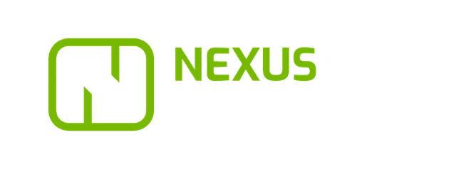 Nexus Analytica Logo